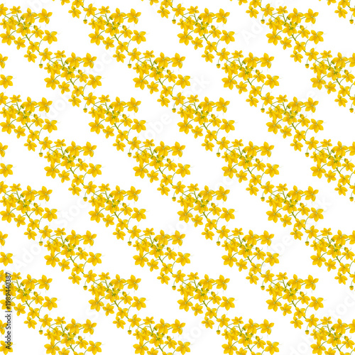 Repeating pattern of yellow Cassia fistula flowers and branches isolated on transparent background