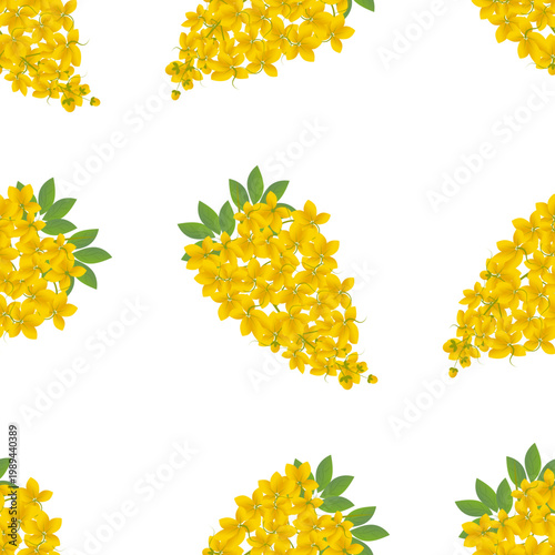 Golden shower tree Cassia fistula flowers blooming in clusters isolated on transparent background