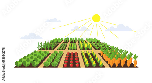 Vibrant Vegetable Garden with Rows of Fresh Produce Under the Sun