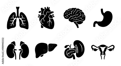Human internal organ icons, medical anatomy vector set, black body parts