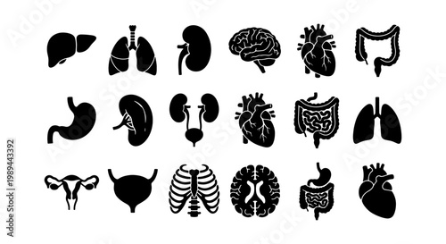 Human internal organs icon set, 18 medical anatomy vector silhouettes