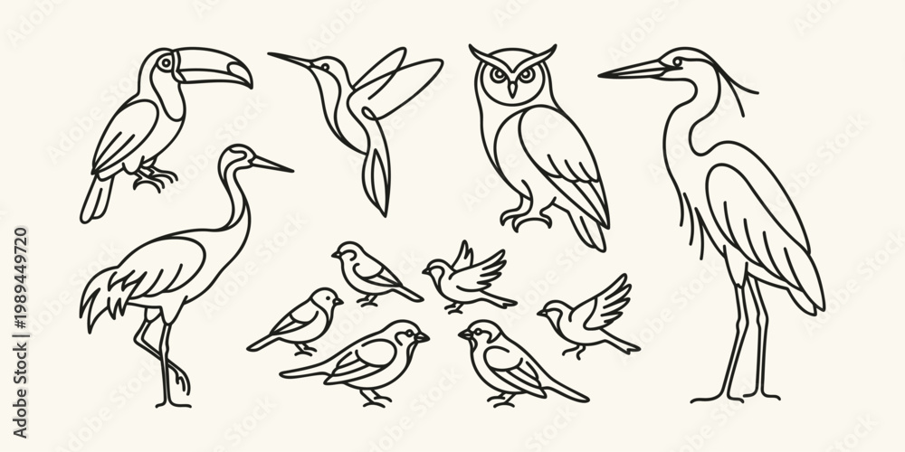 Fototapeta premium Minimalist Bird Line Art Illustration Set