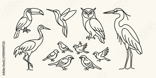 Minimalist Bird Line Art Illustration Set