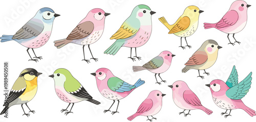 Colorful songbird vector set featuring 13 pastel bird icons for spring nature and botanical branding in a hand-drawn flat design style.