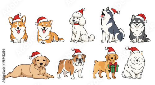 Different Dog Breeds Wearing Christmas Santa Hats Collection, Cute Pets Holiday Celebration Set Including Corgi, Poodle, Husky and Bulldog Vector Art