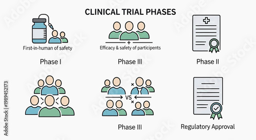 Visual overview of the clinical trial phases, illustrating drug development from first-in-human safety tests and participant efficacy studies to regulatory approval process