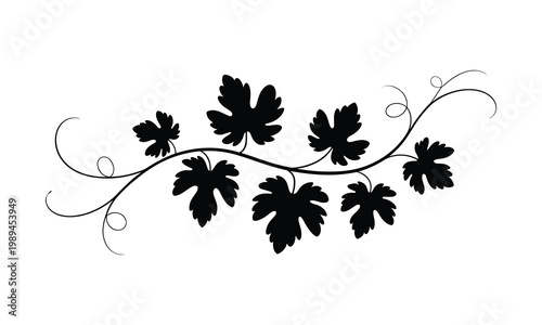 Black grapevine leaves, silhouette vine, leafy branch, botanical icon