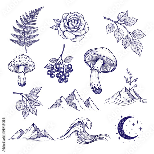 Quadro su tela Mystical Nature Elements Collection Hand Drawn Illustrations.