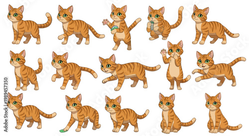 Collection of Adorable Orange Tabby Kittens in Various Poses.
