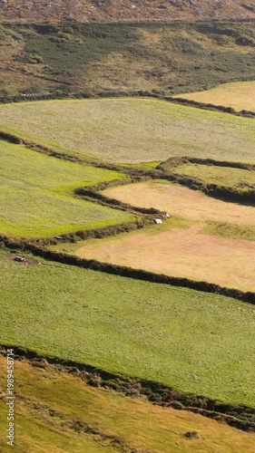 Vast expanse of green and golden farmlands creating a beautiful patchwork pattern across the Irish countryside on a sunny day.