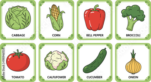 Cartoon vegetables including cabbage, corn, pepper, broccoli, tomato, cauliflower, cucumber, and onion in educational vector illustration