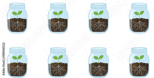 Glass jars with soil and seedlings showing roots and leaves in clean minimalistic decorative botanical vector illustration