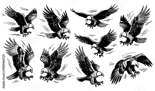 Dynamic eagle bird sketch vector with expressive flying attacking and gliding poses artistic hand drawn line art isolated on white