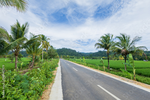 Long straight asphalt road leads through a lush valley of rice fields and palm trees toward mountains