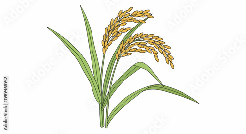 Illustration of two rice plants with golden grains and green leaves, ready for harvest.