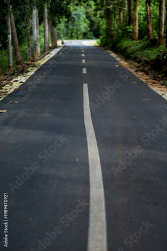 Low angle perspective view of a paved rural road with a white dividing line passing through a forest