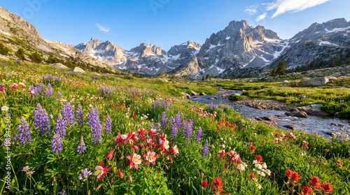 Stunning Summer Wildflower Meadow with Stream and Snowy Mountains in Ansel Adams Wilderness