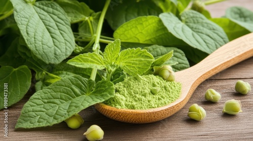 Fresh mint leaves and powder on wooden spoon.