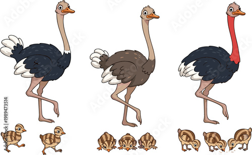 Collection of Ostrich and Ostrich Chick Designs, Featuring Different Poses and Family Interactions with Various Feather Colors