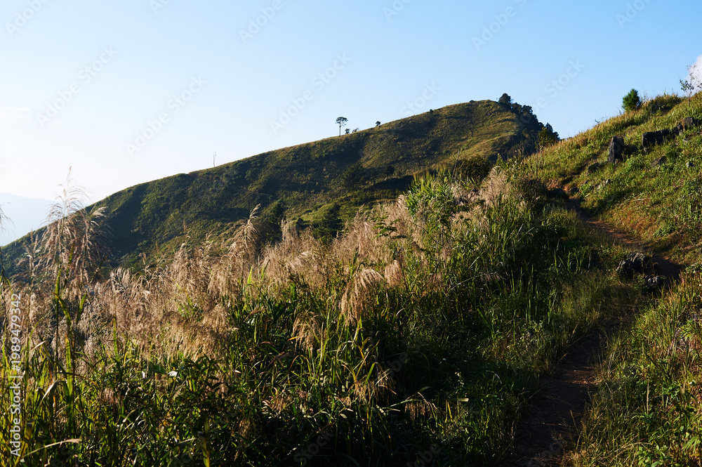 Fototapeta premium Narrow trail along grassy ridge leading toward mountain peak under clear blue sky.