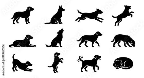 Dog silhouette collection with 12 canine poses, black pet animal icons in various actions, flat vector set of dogs running jumping and sitting
