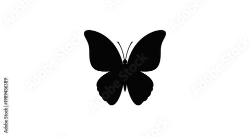 Black Butterfly Silhouette Flying Freely Isolated.