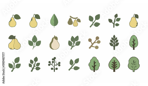 Chinese pear icon set minimal botanical fruit tree collection simple flat vector elements isolated on white