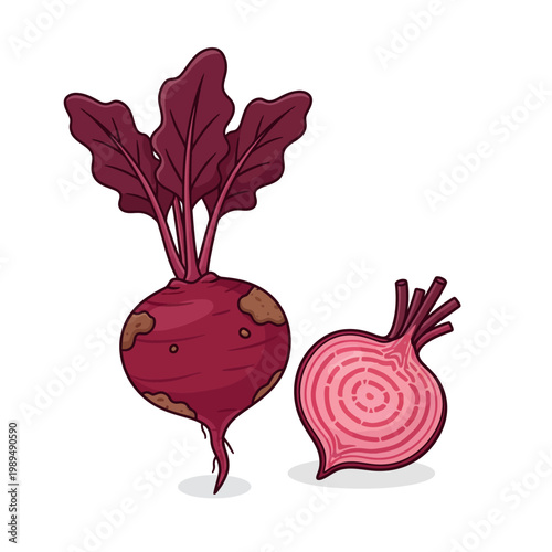 Vibrant Beetroot Illustration: A captivating illustration showcases a whole beetroot and a cross-section, revealing the root vegetable's rich color and intricate internal structure. 