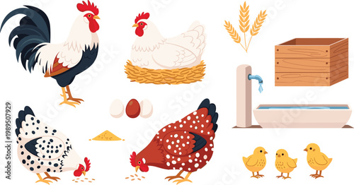 Set of Professional Poultry Farm Illustrations Featuring Rooster Hens Chicks and Fresh Eggs With Wooden Crate Water Trough and Wheat Stalks for Agricultural and Livestock Graphic Designs