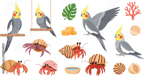 Set of Diverse Rhino Illustrations Featuring Black and White Rhinoceros Species in Standing and Walking Poses with Savanna Grassland and Acacia Tree Landscape Elements