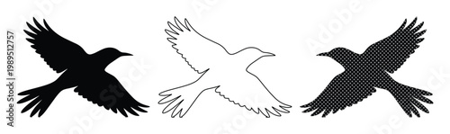 Set of 3 Flying Bird Silhouette and Outline Vector Icons
