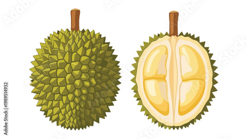 Illustration of a whole and halved durian fruit with spiky green skin and yellow flesh on a white background.