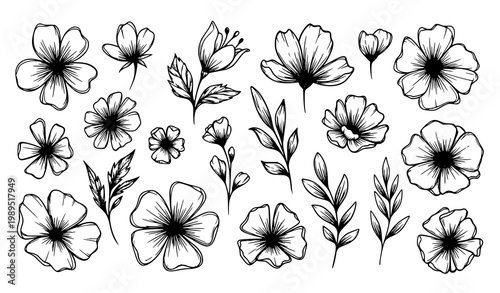 Hand drawn abstract floral silhouette vector set with botanical flower icons in creative organic style collection