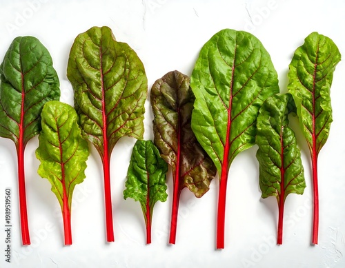Fresh Swiss Chard Leaves With Vibrant Red Stems And Green Foliage Arranged In A Row On A White Textured Background Top View Food Photography