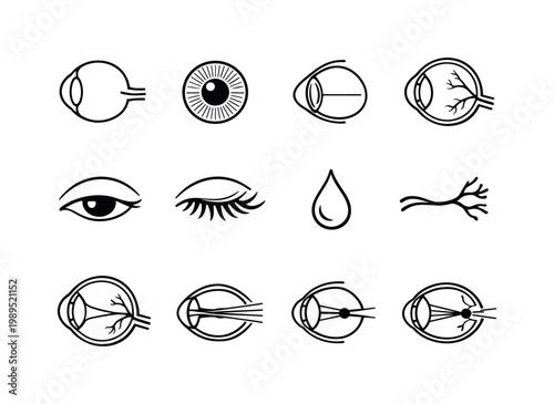 Human eye anatomy: eyeball, iris, pupil, cornea, retina, optic nerve, eyelid, eyelashes, tear drop, eye cross section, vision rays, focus lens.