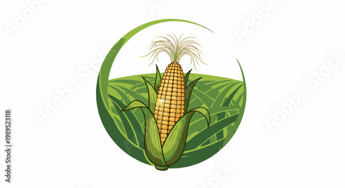 Ripe ear of corn in a field within a green circular frame