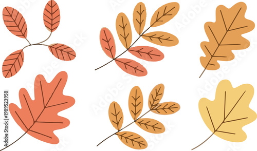 autumn,autumn leaf icon,autumn colourfull leaf icon set