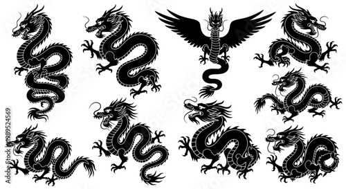 Collection of intricate black dragon illustrations in various dynamic poses