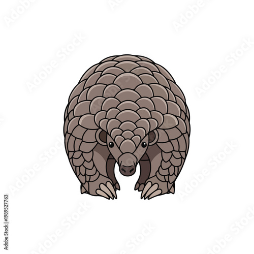 Pangolin isolated on white background looking forward