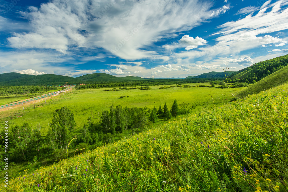Obraz premium Hulunbuir Hawuer River: A Green Oasis Amidst Forested Curving Waters