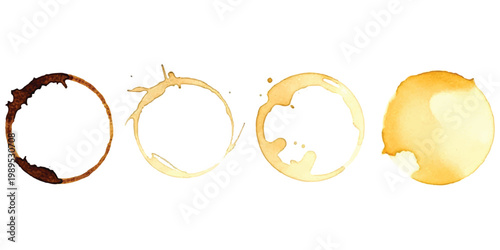 Four distinct coffee cup rings, varying in color from dark brown to light yellow, showcasing a gradual fading and staining effect on a white background.