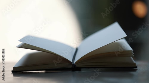 Young woman jumping with open book, celebrating learning and education, curiosity, discovery, excitement, and academic success in a modern lifestyle concept.
