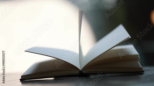 Young woman jumping with open book, celebrating learning and education, curiosity, discovery, excitement, and academic success in a modern lifestyle concept.
