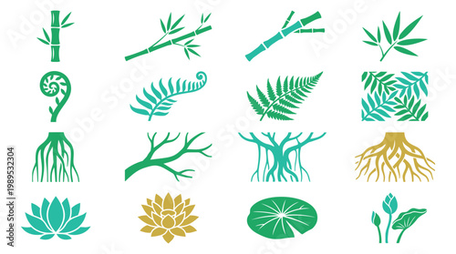 Green and gold botanical icons representing bamboo branches fern leaves lotus flowers and roots