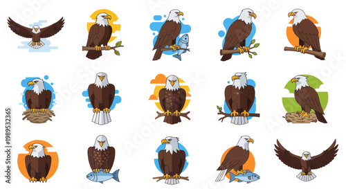 Eagle Collection: Majestic Birds of Prey in Various Poses and Settings