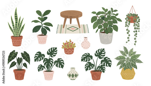 A charming collection of various potted houseplants beautifully arranged with a small wooden stool and decorative accents.