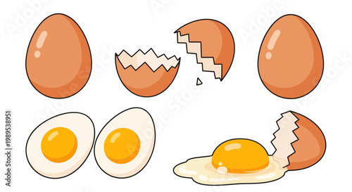 Collection of Eggs: Whole, Cracked, Boiled, and Fried, Isolated on White