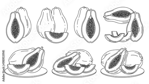 Detailed monochrome sketches of papaya fruits in various forms including whole, halved with seeds, and sliced pieces on serving plates.