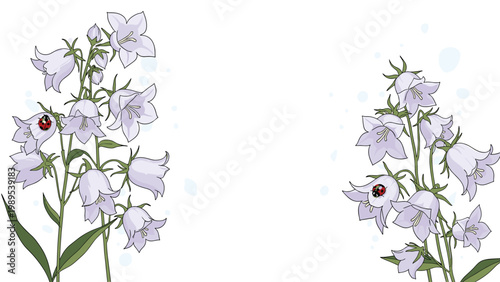 Delicate light purple bellflowers on tall stems featuring tiny red ladybugs crawling on the blossoms against a clean white backdrop.