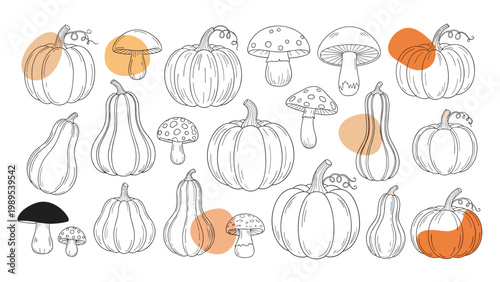 Collection of hand-drawn pumpkins and various mushrooms features fine line work and artistic orange color splashes for a rustic autumnal theme.
